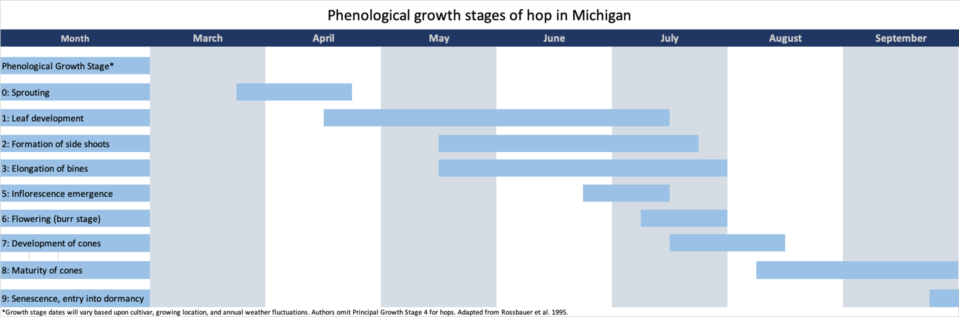 Phenological growth stages of hop in MI.jpg